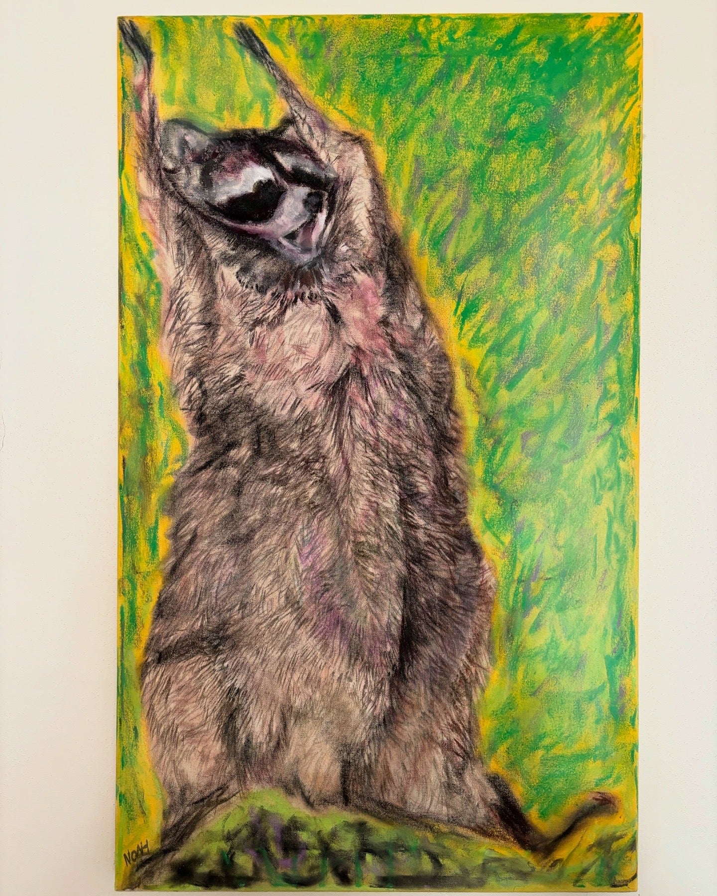 “Raccoon On Grass.”
Mixed media (sidewalk chalk & watercolor) on unprimed canvas by Noah.