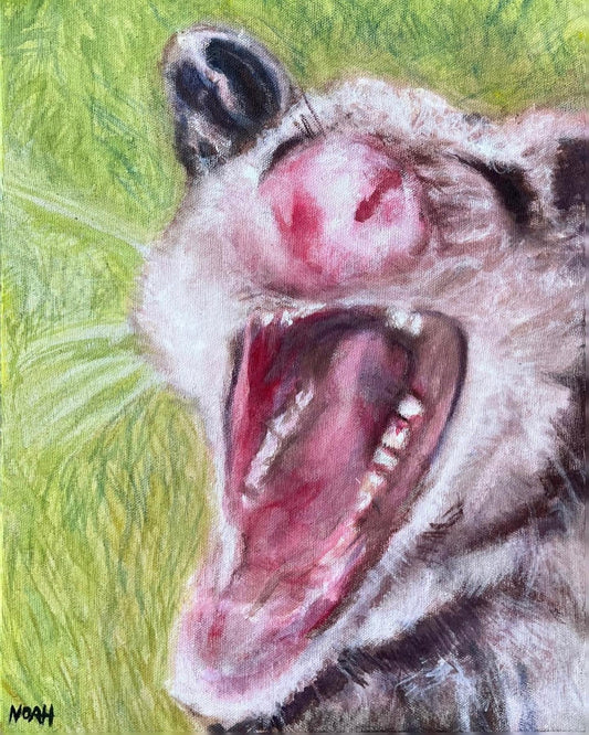 “AAAaHHHhh!”
Watercolor on unprimed canvas by Noah.
11”x14”